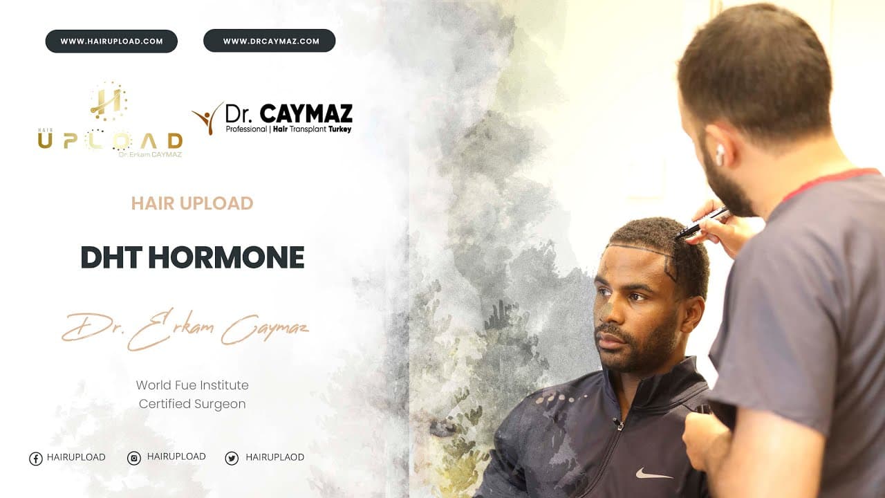Dht Hormone - Hair Transplant Turkey